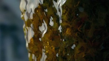 Üzerine sızma çamur ile uzaylı yaratık