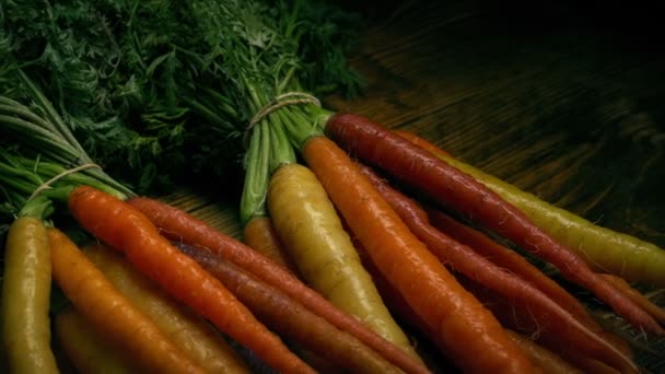 Passing Washed Carrot Bunches — Stock Video