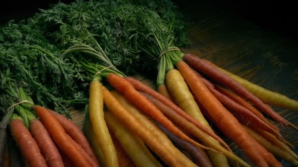 Passing Bunches Carrots — Stock Video