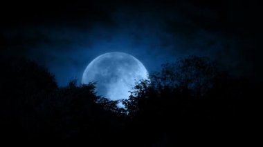 Ağaçların arkasında büyük dolunay