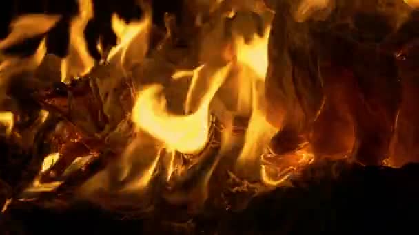 Papper Förbränningen Brand — Stockvideo