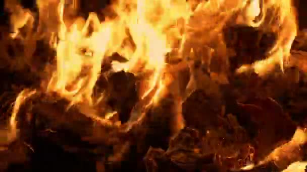Halaman Terbakar Dalam Api — Stok Video
