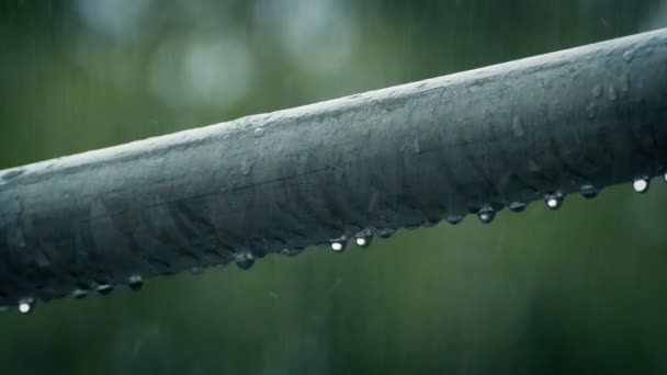 金属杆滴在雨中 — 图库视频影像