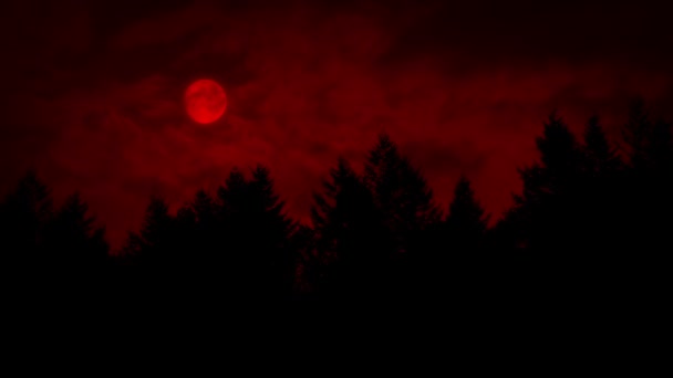 Lua Vermelha Sobre Floresta — Vídeo de Stock