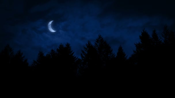 Luna Semilună Deasupra Pădurii — Videoclip de stoc