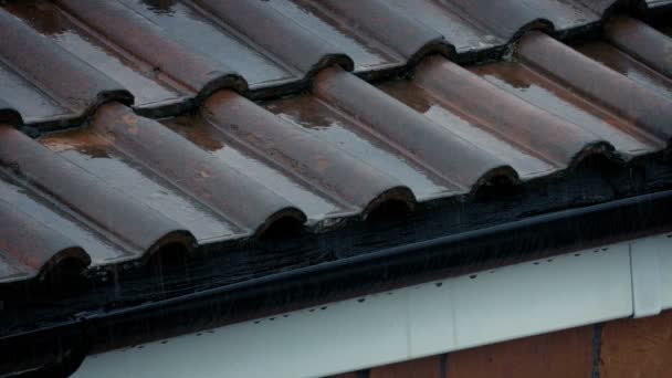 暴雨中的屋顶和排水沟 — 图库视频影像