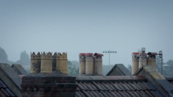 Chimeneas Tejados Bajo Lluvia Intensa — Vídeo de stock