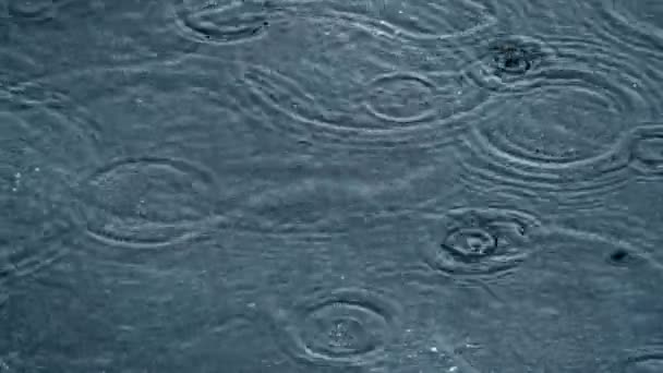 Regen Raken Gebouw Detail — Stockvideo