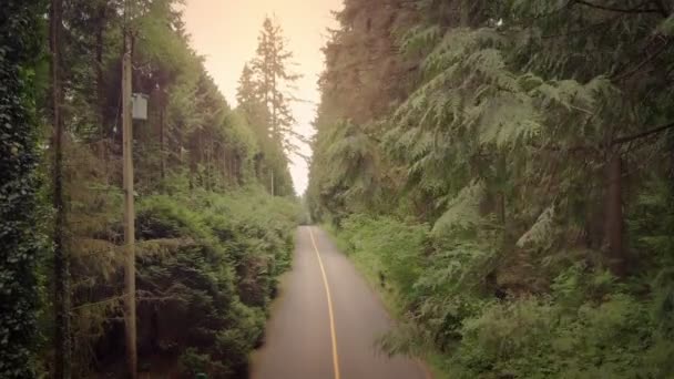 Landelijke Weg Bij Zonsondergang — Stockvideo