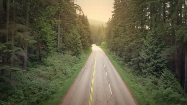 Auto Mit Fahrrädern Bei Sonnenuntergang Auf Landstraße Unterwegs — Stockvideo