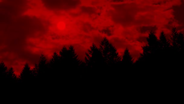 Red Sun Glows Clouds Forest — Stock Video