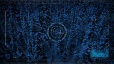 Drone Hud Pov uçan bitti Snowy Orman geceleri