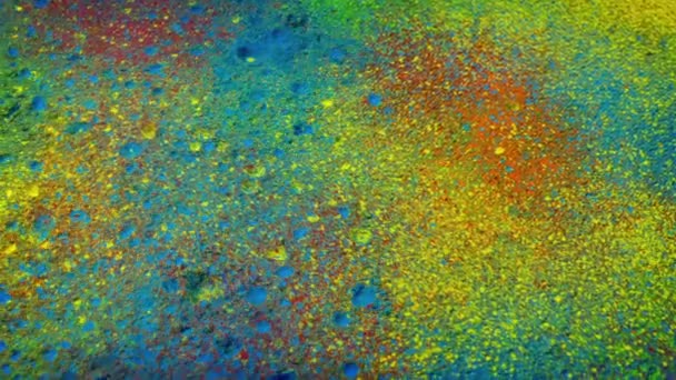 Color Powders Falls Floor Festival Concept — Stock Video