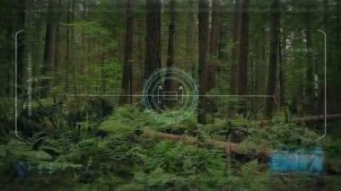 Drone Hud orman yerden yükselen Pov