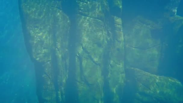 Oude Rock Structuur Onder Water — Stockvideo