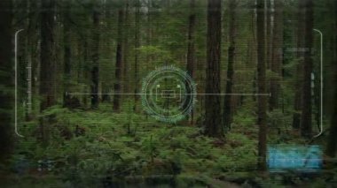 Woodland kayma dron Pov