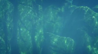 Okyanusta Rock duvar