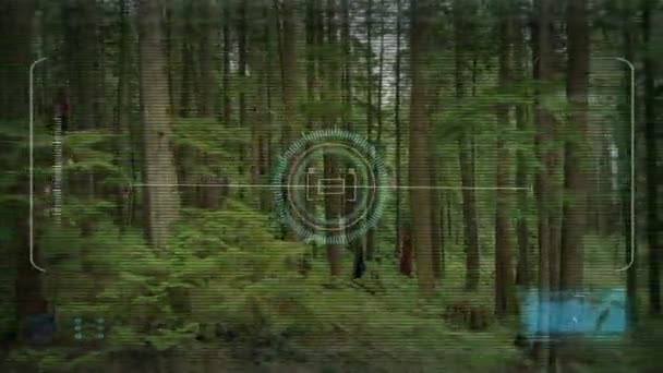 Punto Vista Aereo Dal Drone Nel Bosco — Video Stock