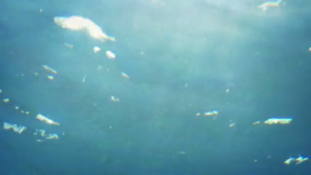 Underwater View Shimmering Sunlight — Stock Video