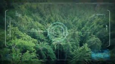 Drone Pov uçan üzerinde vahşi Vadisi
