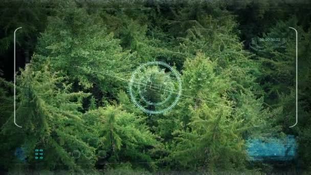 Pov Drone Latający Ponad Wierzchołki Drzew — Wideo stockowe