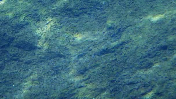 Kabbelend Zonlicht Rock Oppervlak Onderwater — Stockvideo