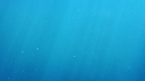 Underwater Solstrålarna Och Partiklar — Stockvideo
