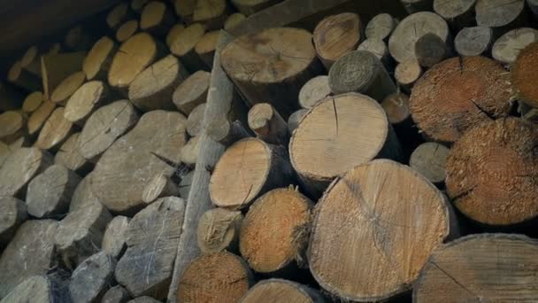 Przesunięcie Dół Duży Stos Drewna Ogień — Wideo stockowe