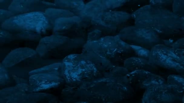 Rocks Havet Natten — Stockvideo