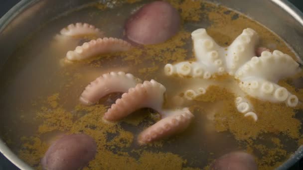 Octopus Cozinhar Panela — Vídeo de Stock