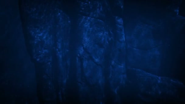 夜の水の下で古代の岩構造 — ストック動画
