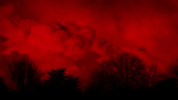 Énormes Nuages Rouges Derrière Les Arbres Résumé — Video