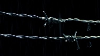 Dikenli tel yağmurun damlaması