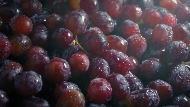 Uvas Jugosas Siendo Rociadas Con Niebla Fina — Vídeo de stock