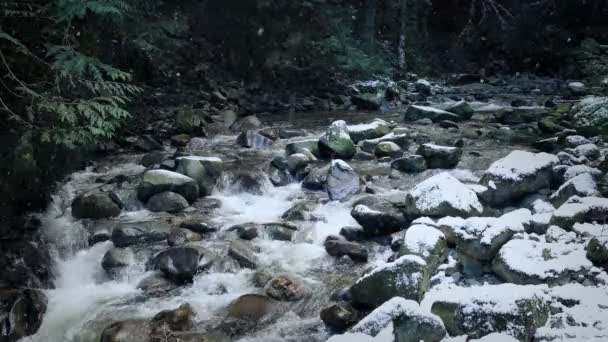狂野的河流与雪下降 — 图库视频影像
