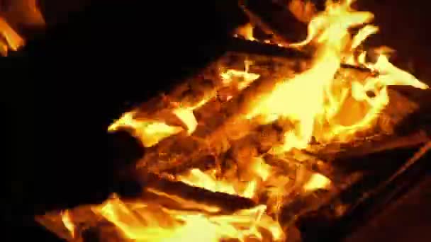 Book Thrown Fire — Stock Video