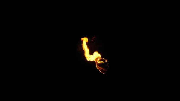 Torche Brûlante Dans Obscurité Élément Composition — Video