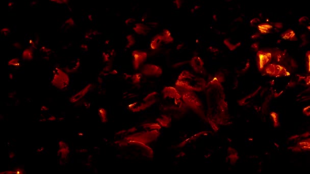 Les embaumes de feu luisent dans le noir 