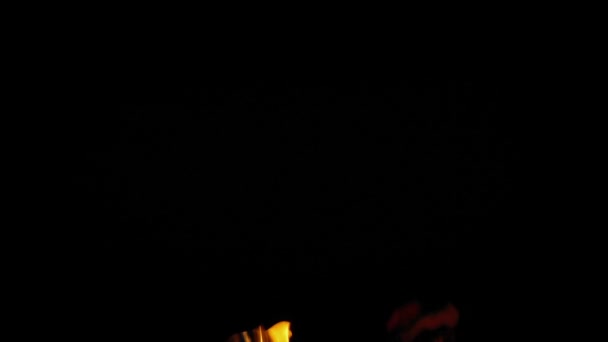 男子在夜间手持火手电筒 — 图库视频影像