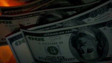 Doları notlar koymak ateş portre