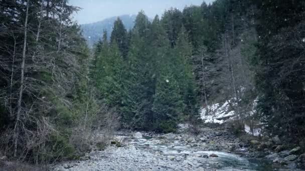 野生の川の風景に雪が降る — ストック動画