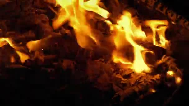Fuego Campamento Por Noche — Vídeos de Stock