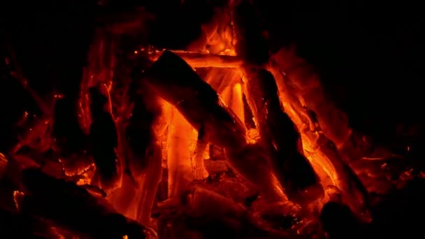 Вогонь Світить Темряві — стокове відео