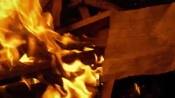 Yazılı Mektup Ateşe Genel Içerik Koymak — Stok video