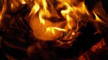 Kitap sayfaları yanık ve rüzgarda uçar