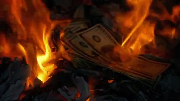 Las Facturas Del Dólar Incendian Queman — Vídeo de stock