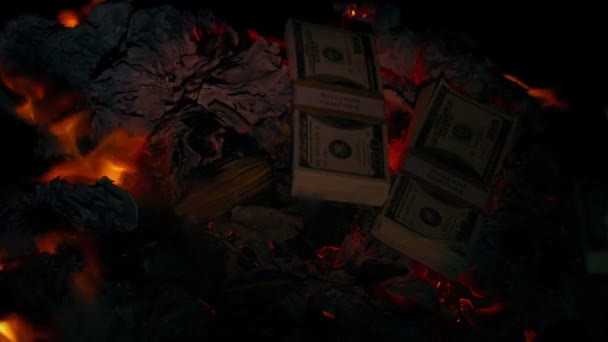 美元堆栈在火中被抛出 — 图库视频影像