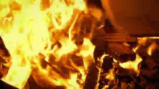 Generic Document Burns Fire — Stock Video