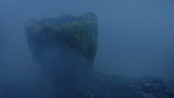 Hatched Uovo Alieno Nella Nebbia — Video Stock