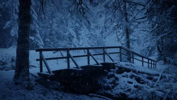 Fot Bridge Snöiga Forest Park Skymningen — Stockvideo